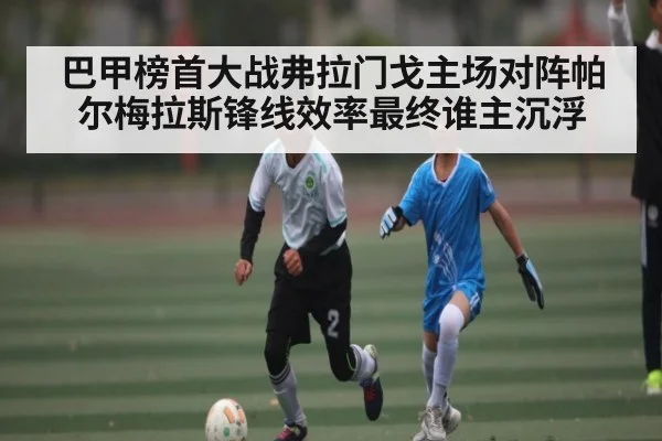 巴甲榜首大战弗拉门戈主场对阵帕尔梅拉斯锋线效率最终谁主沉浮 | kaiyun